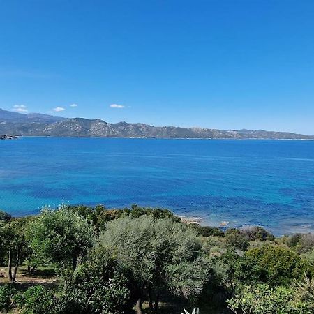 Appartement Sur La Baie De Saint Florent Патримонио Экстерьер фото