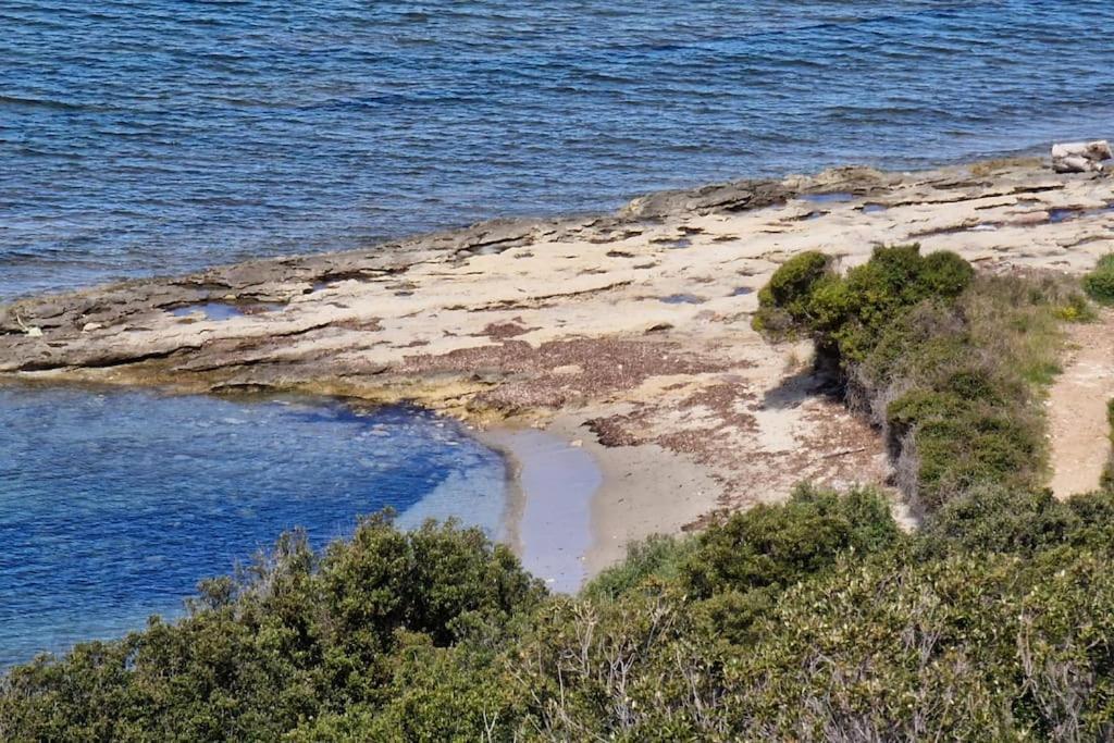 Appartement Sur La Baie De Saint Florent Патримонио Экстерьер фото