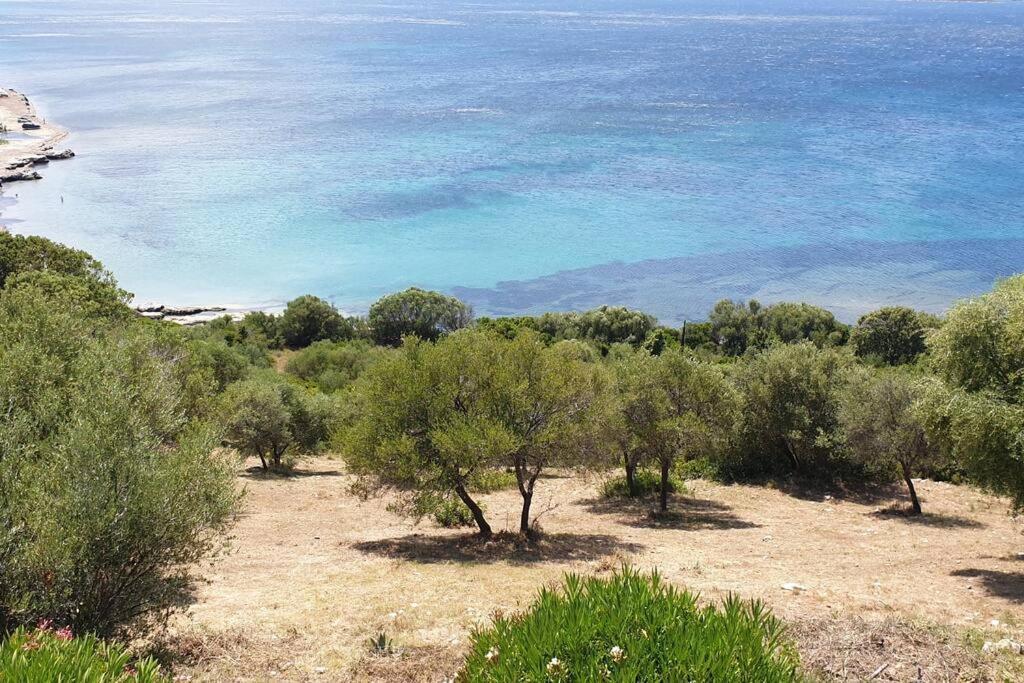 Appartement Sur La Baie De Saint Florent Патримонио Экстерьер фото